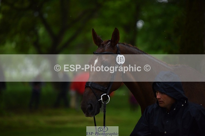 240522-153220-00410 - 363-FORTHRIGHT-Matthew_Glentworth