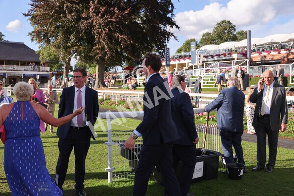 yr19082022r7-80 - Race 7 5.20pm Sky Bet Mile Stakes