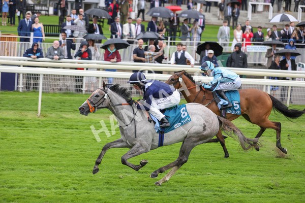 140723-Race 3-Symbology-8558 - Race 3 3.15pm William Hill Keep Your Raceday Positive Irish EBF Fillies' Novice Stakes