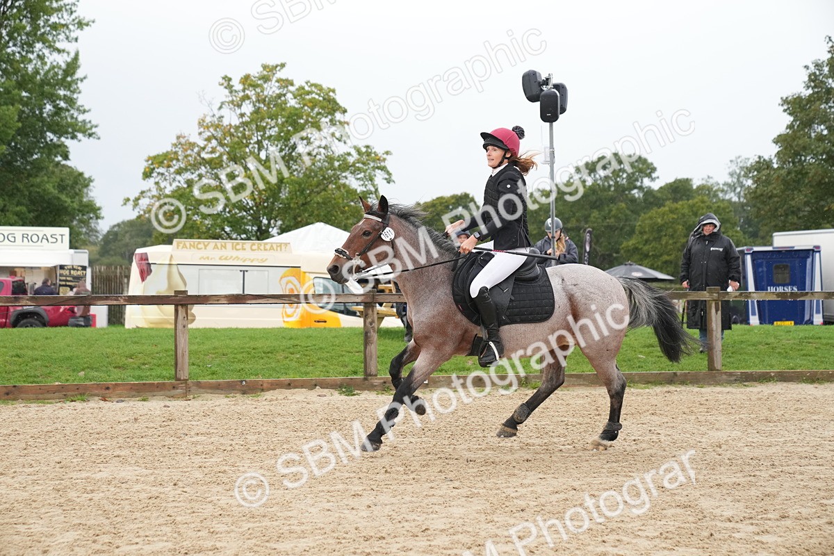 SBM_01432 - J54 - Clear Round 50cm