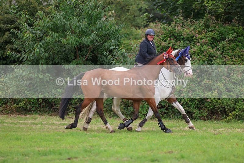 3E7A7982 - Class 6: Senior Discovery/1m open