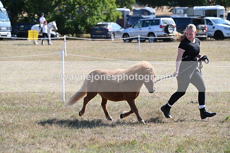 WJ6_7275 - Class 33 Rescue Pony