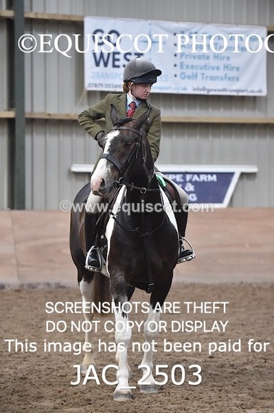 JAC_2503 - CLASS 3 Intermediate Working Hunter