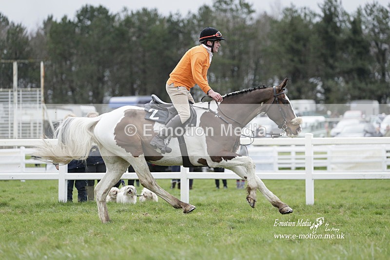 PtP 260323 0261 - New Forest Hounds Point-to-Point Larkhill 26/03/23