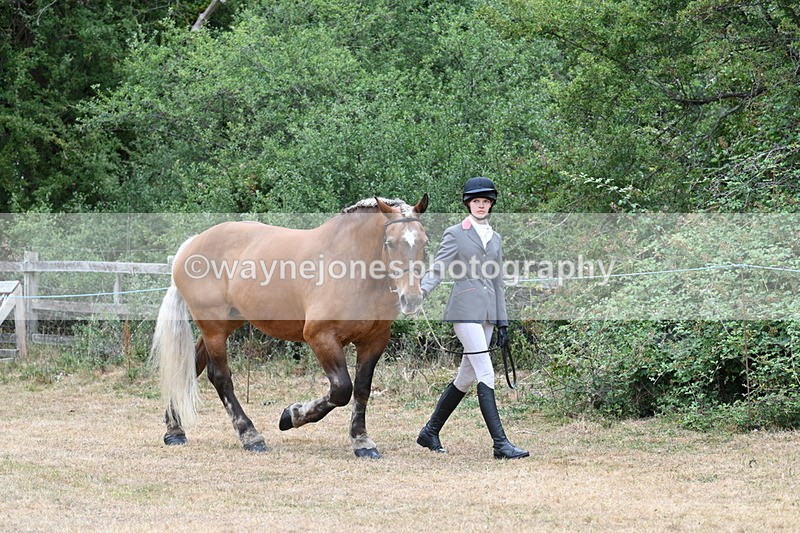 WJ7_8626 - Class 4a Prettiest Mare 14.2hh and over