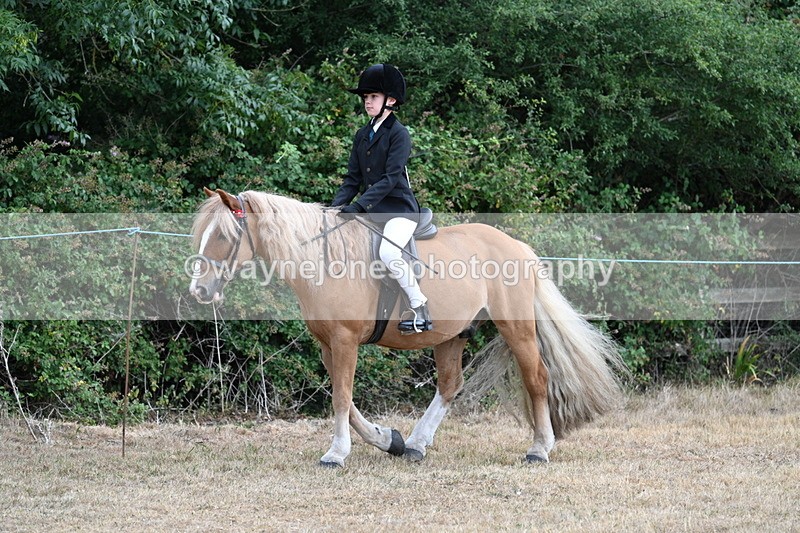 WJ7_7033 - Class 2 Best Rider