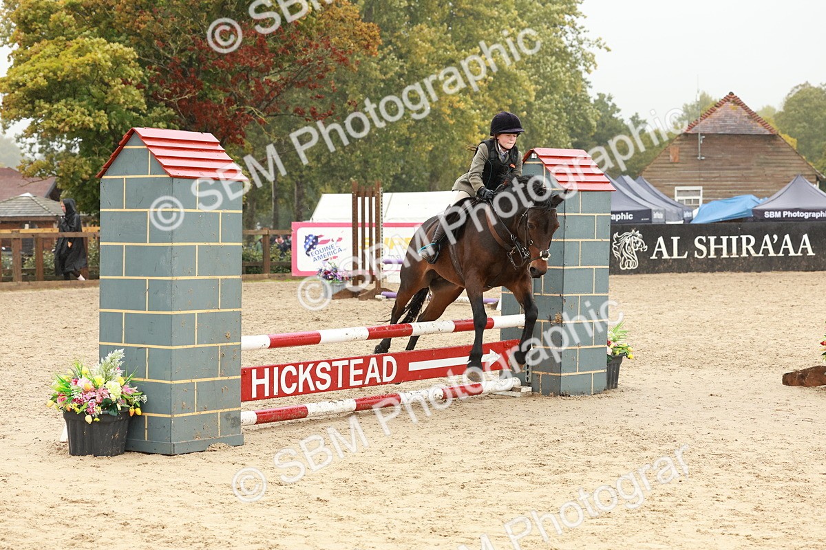 SBM_73296 - Supreme Championship Junior Pony 60cm & 65cm