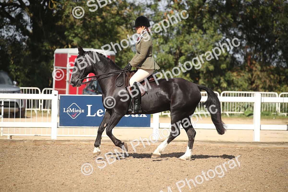 SBM_22938 - Class 603 - 2026 - Ridden Pre Vet