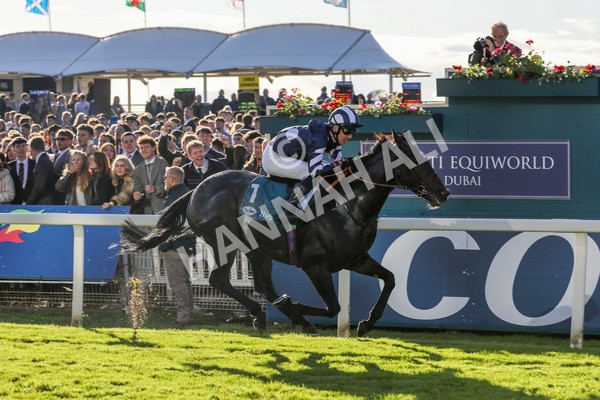 141023-Race 5-Certain Lad-0545 - Race 5 3.35pm Coral Racing Bet Bundles Handicap