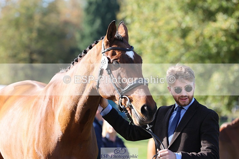 241027-101742-15797 - 555-Kane.Phillips-GURRAUN.CATCH.UP