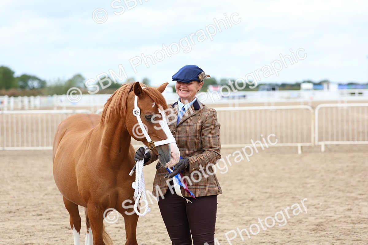 SBM_05981 - Class 29 - IH Veteran Pony