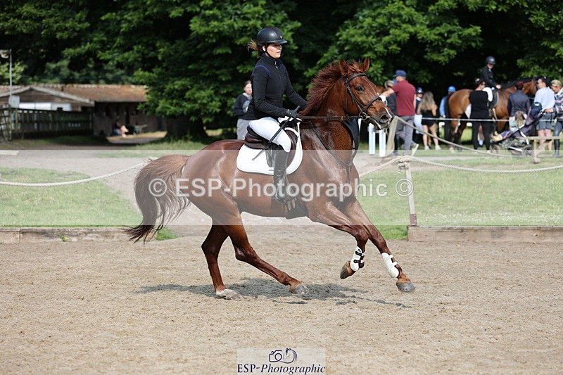 250614A-090101-04783 - Cls 25 85cm Amateur Quali