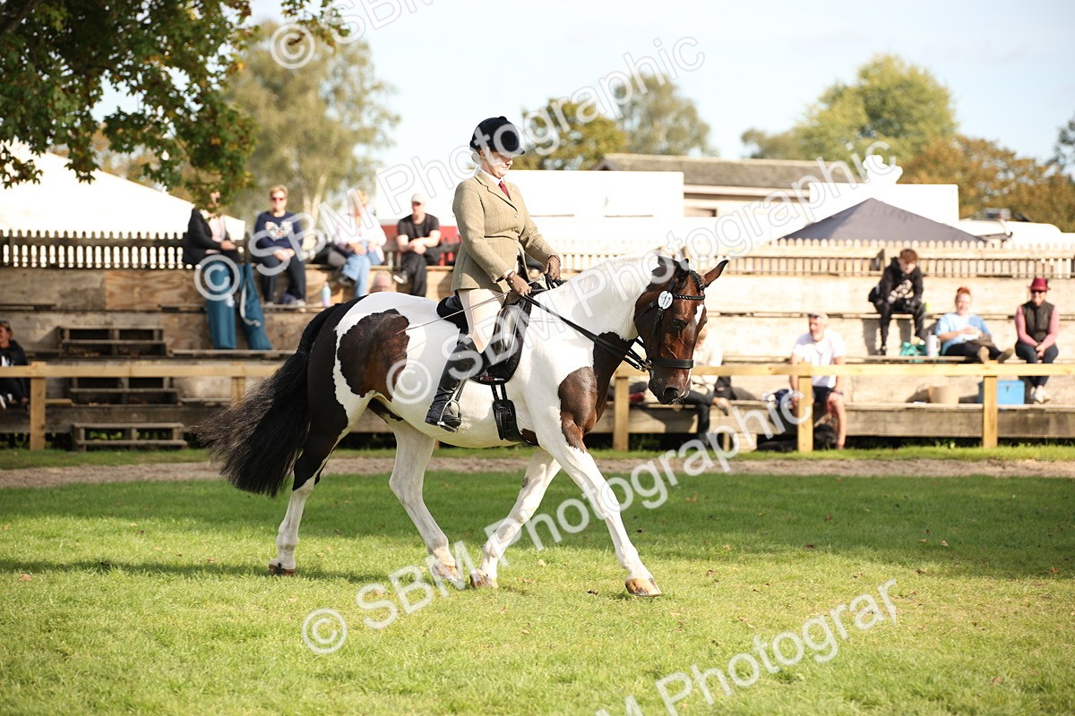 SBM_50182 - S26 - Young Veteran - Ridden