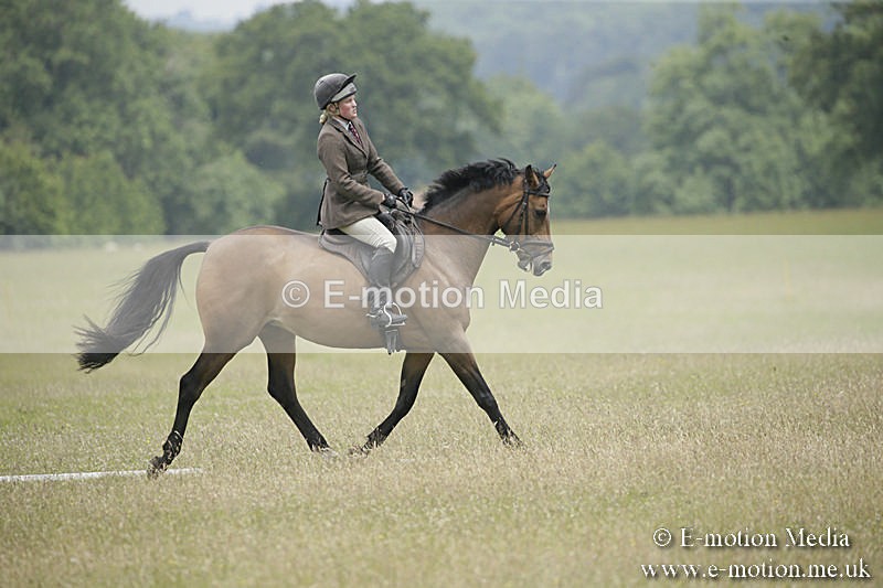 B230619-0622 - Bourne Valley Riding Club Summer Show 23/06/19