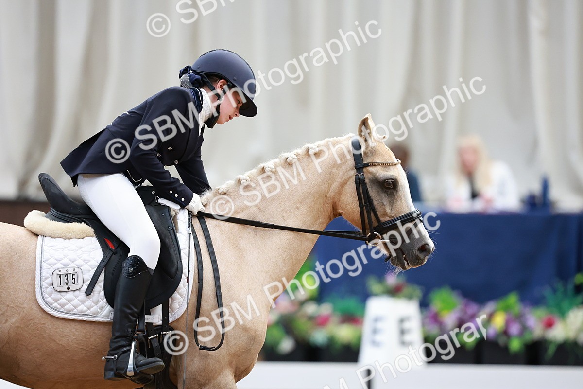 SBM_017406 - Class15 - FEI Pony