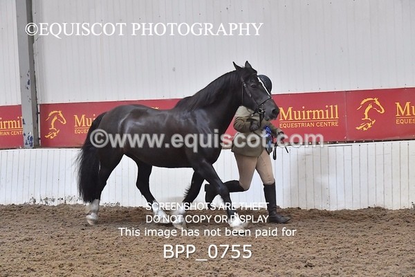 BPP_0755 - RING 2