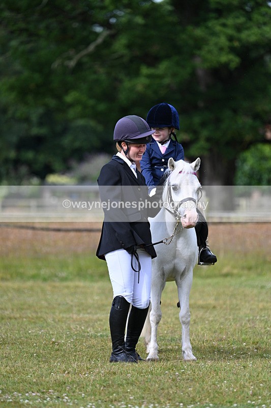 WJ7_4519 - Class 1 Lead Rein Pony