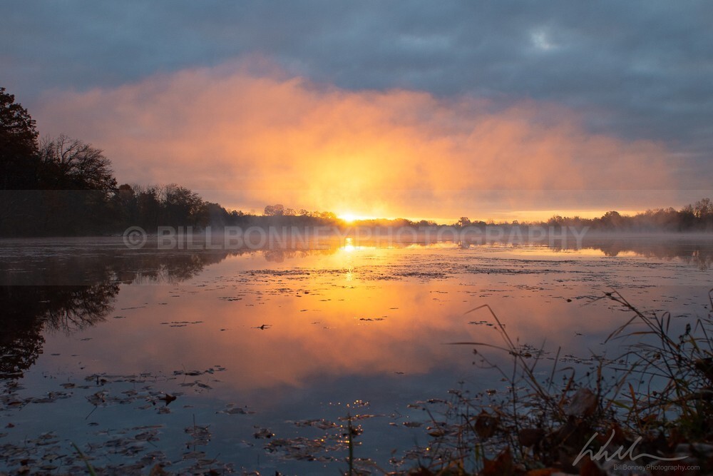 DSC_2109 - Autumn