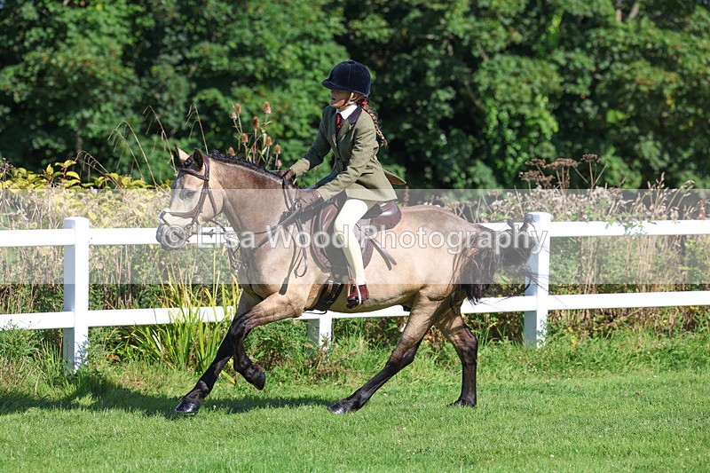 3E7A7862 - Class 2: Open Working Hunter pony