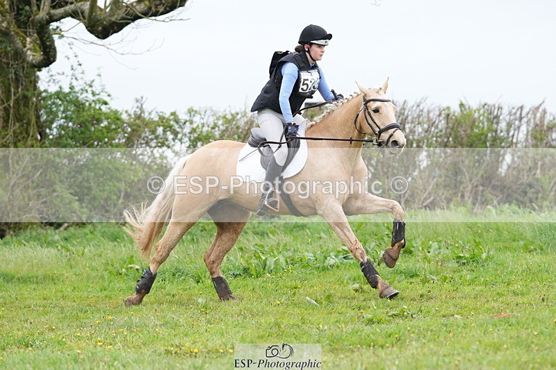 250419-130040-10034 - 523-Kate.Hicks-SWALLOWCROFT.STARDUST