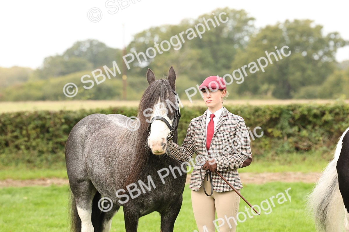 SBM_59340 - S57 - Traditional Cob In Hand