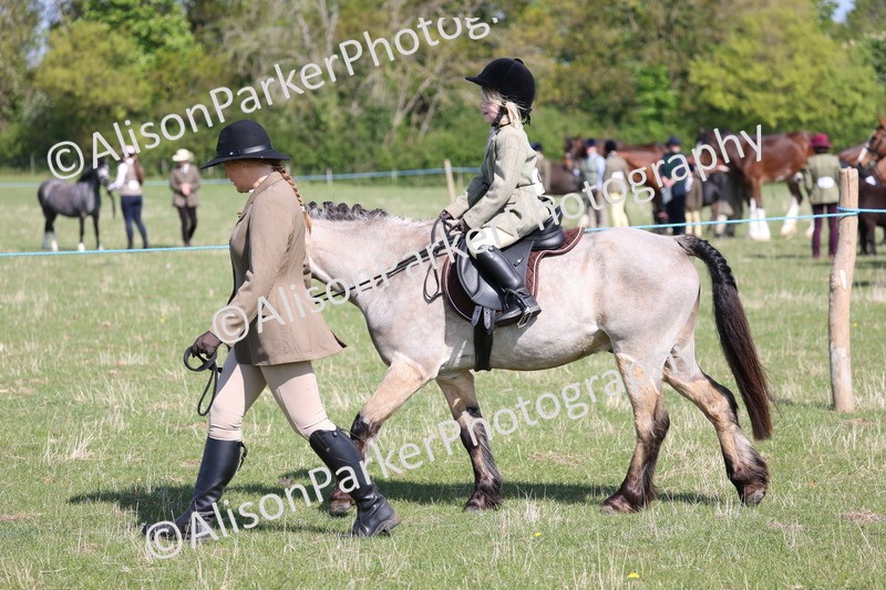 20250427-1553 - Class 31 - Leading Rein Pony