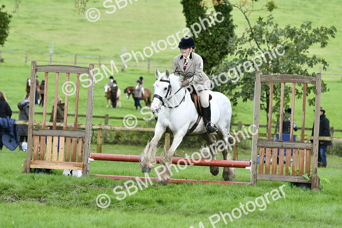 SBM_41536 - S32 - Mountain & Moorland Working Hunter Pony