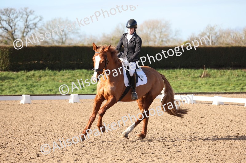 20260128-0325 - Class 3 - Novice 4