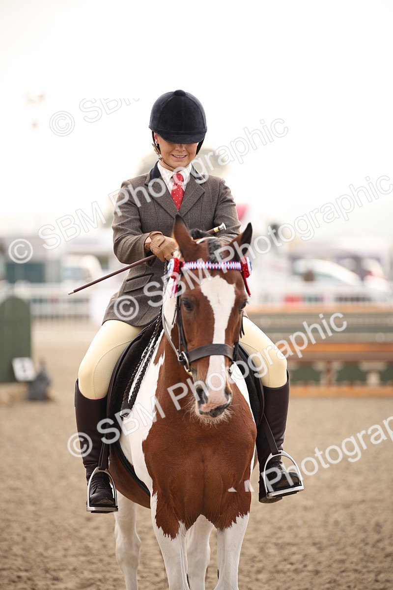 SBM_09726 - Class 401 Riding Club Pony