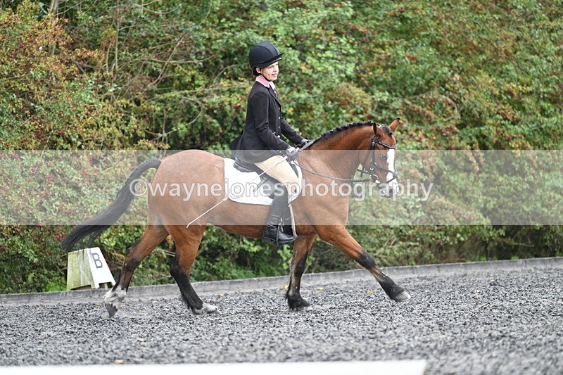 WJ7_4017 - Time 11:04 to 11:38