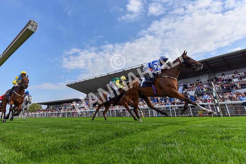 240825-Race 5-This Years Love-0339 - Race 5