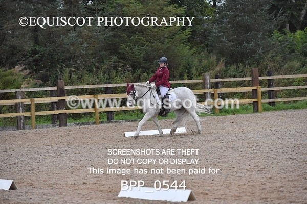 BPP_0544 - MFS PRELIM & NOV