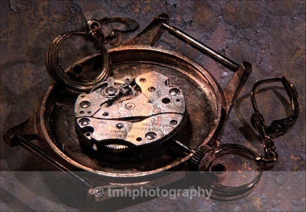 Rusty watch. - Still Life / Contemporay Art