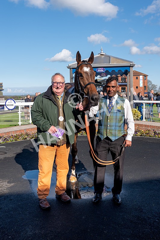 240425-Race 7-Mister Daydream-3375 - Race 7