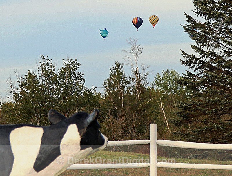 Atlantic International Balloon Festival Sussex New Brunswick Canada - Atlantic International Balloon Fiesta