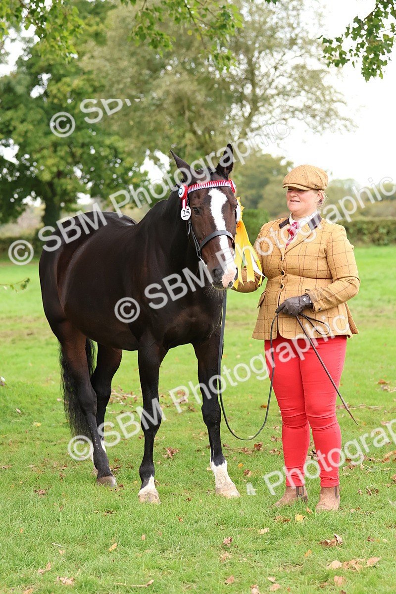 SBM_41753 - S26 - Mature Veteran In Hand