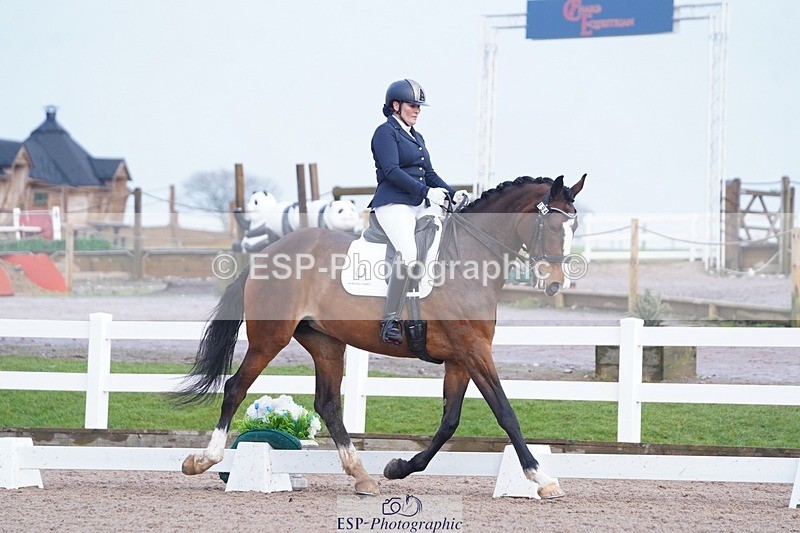 250215-144506-04351 - 194-Fay.Lai-Greenlanes.Lullaby