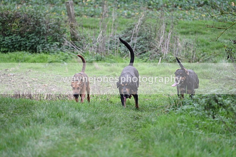 WJ7_8892 - Camera 1 only on this line