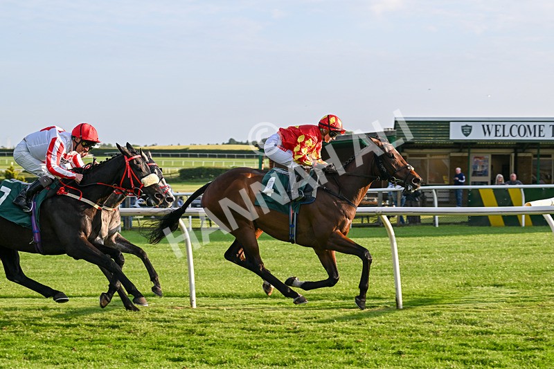 100625-Race 6-Show No Fear-7470 - Race 6