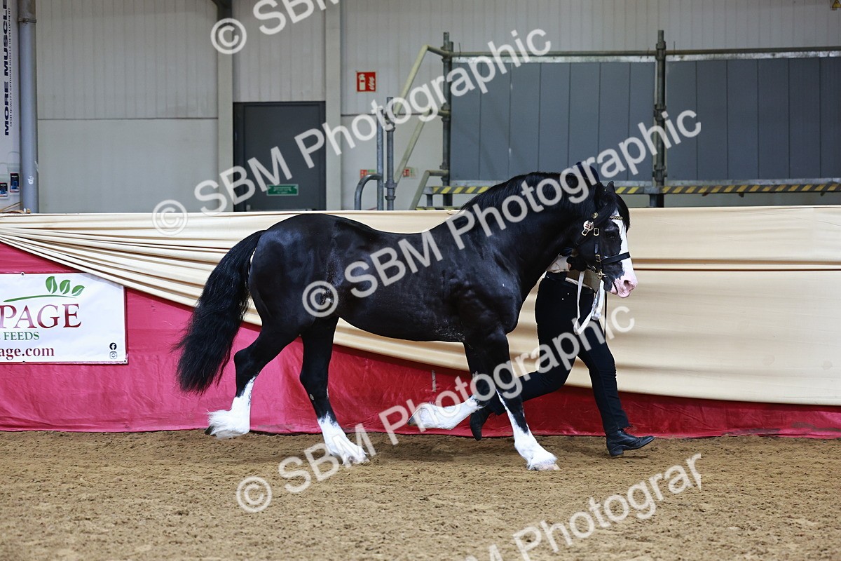 SBM_22115 - Class 902 - Supreme Final - IH Diamond