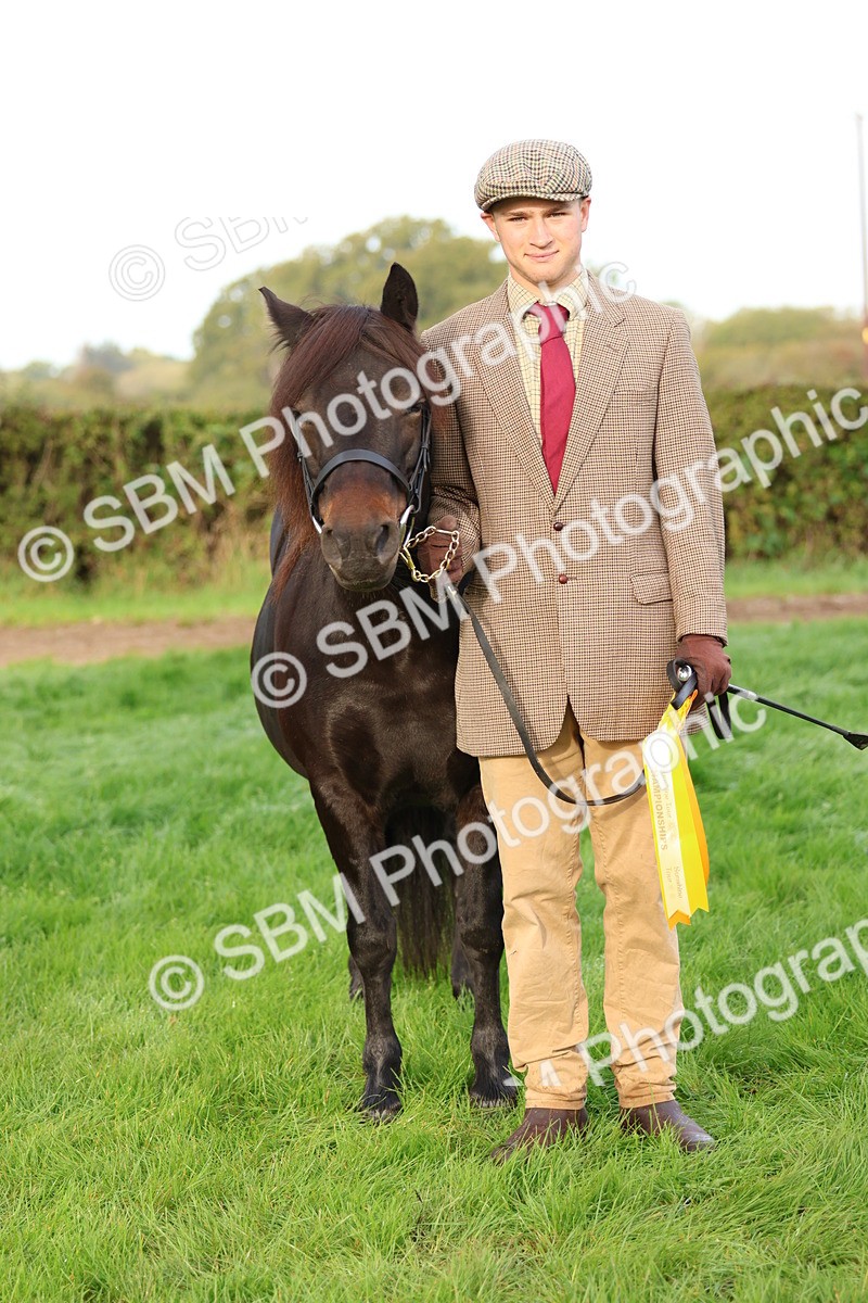 SBM_54908 - S39 - Starters In Hand Showing