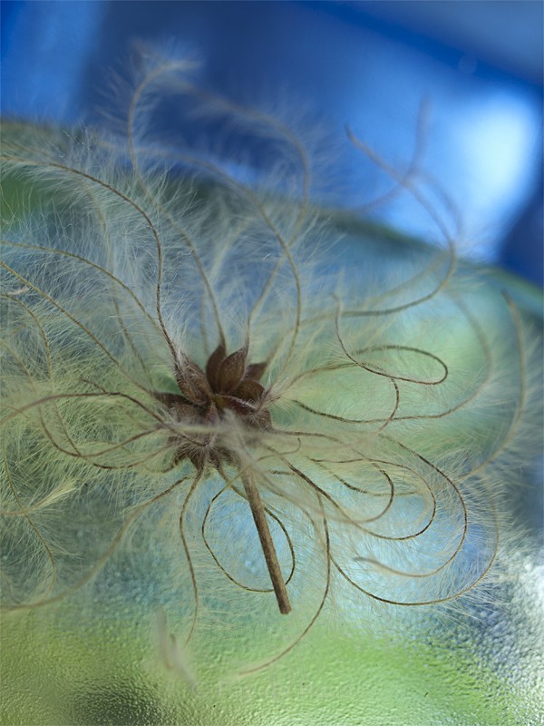 - Nature's Wonders