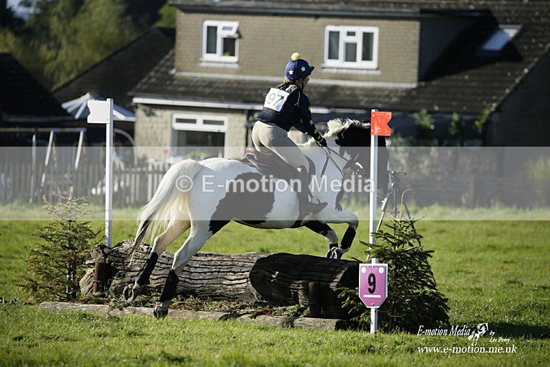 WWHT 031021 597 - Novice Restricted (0.80m) 03/10/21