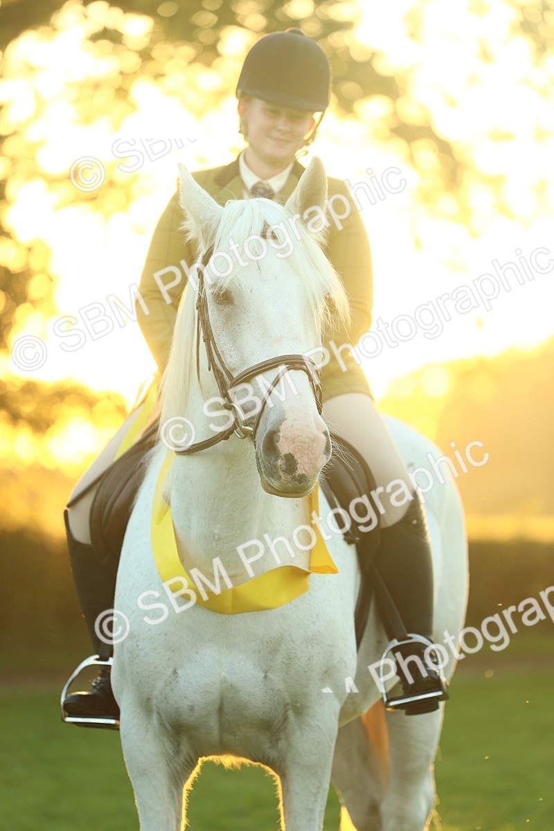 SBM_56727 - Fun & Versatile Supreme Championship