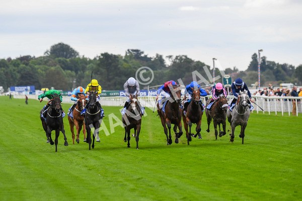 240823-Race 1-Relief Rally-0061 - Race 1 1.50pm Sky Bet Lowther Stakes