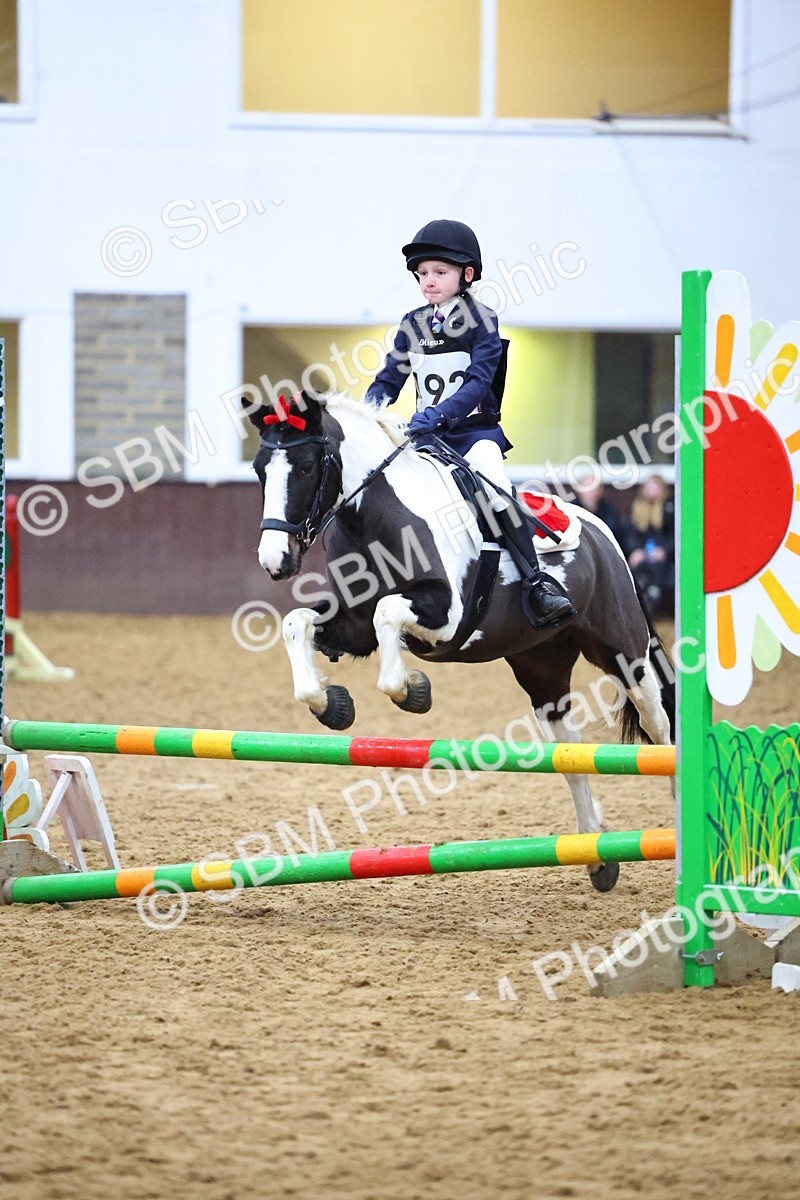 SBM_001296 - Class 3 - Christmas Tree Stakes - 60cm