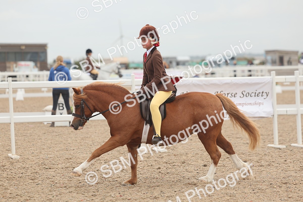 SBM_01924 - Class 14 - Ridden M&M Wildcard