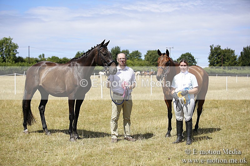 _C7A9817 - BVRC Sow 2018 Ring 2