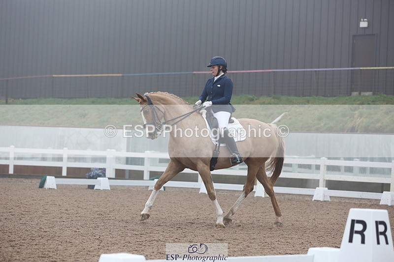 240217A-123312-02906 - 274-Clare.Smith-Dori.Dragon.Fly