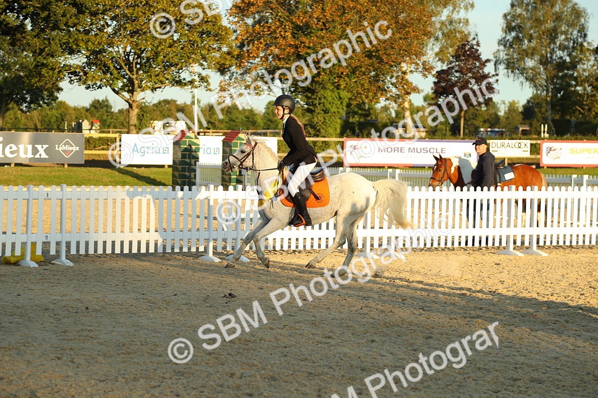 SBM_53950 - J8 - Junior Pony 65cm Championship